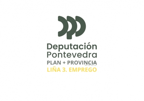 PLAN +PROVINCIA PARA A ACTIVACIÓN DO EMPREGO DA DEPUTACIÓN DE PONTEVEDRA 2025 (Liña 3).